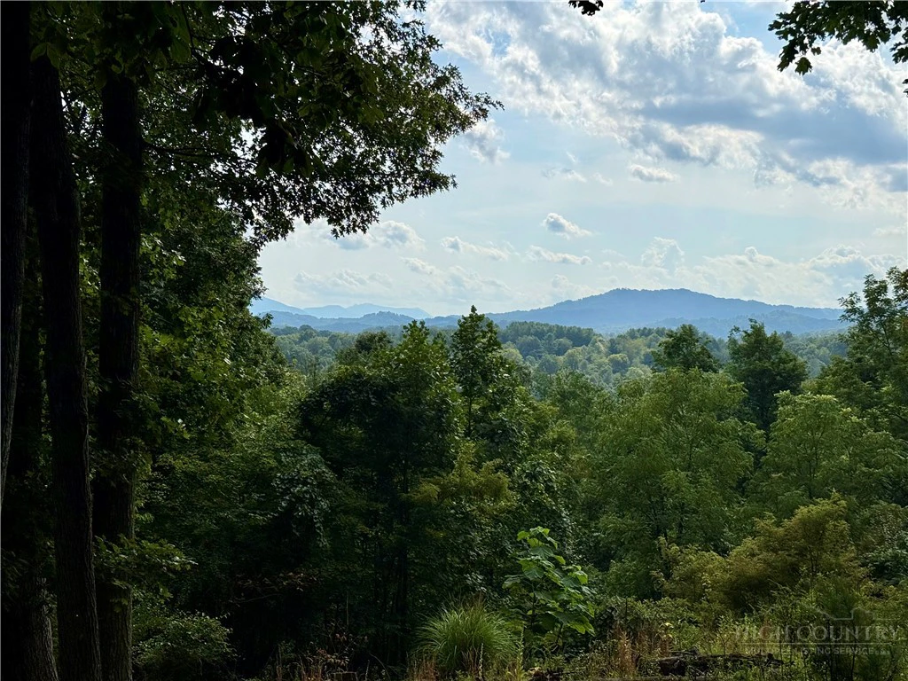 Image number 3 for the current listing