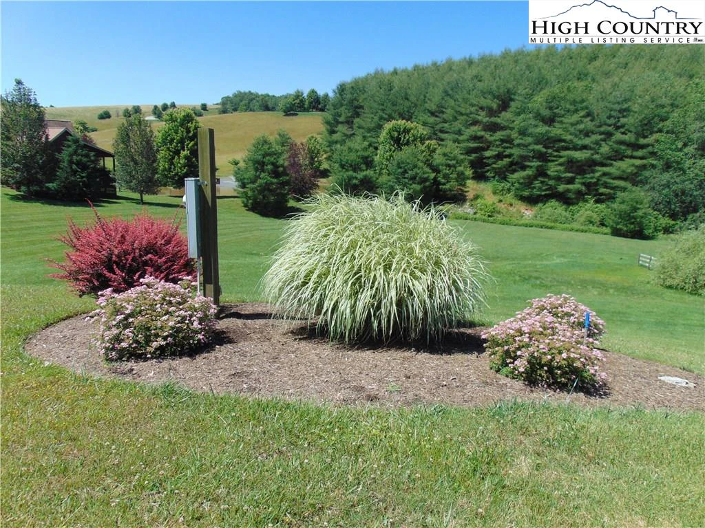Image number 21 for the current listing