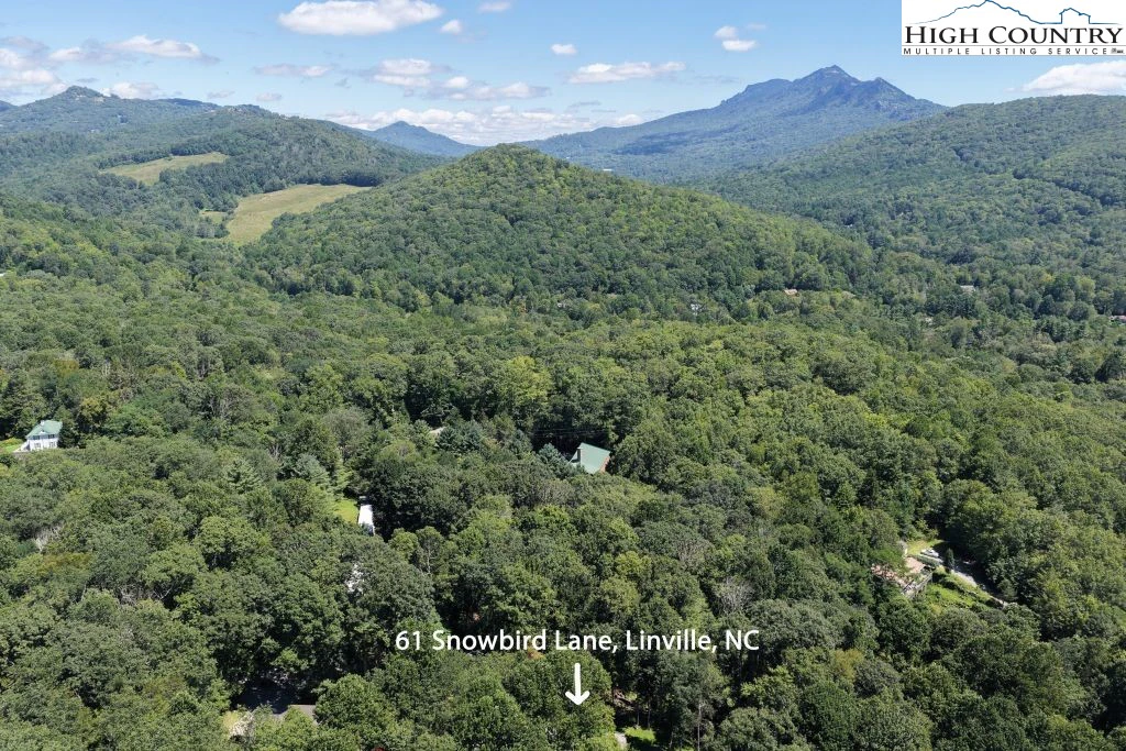 Image number 4 for the current listing