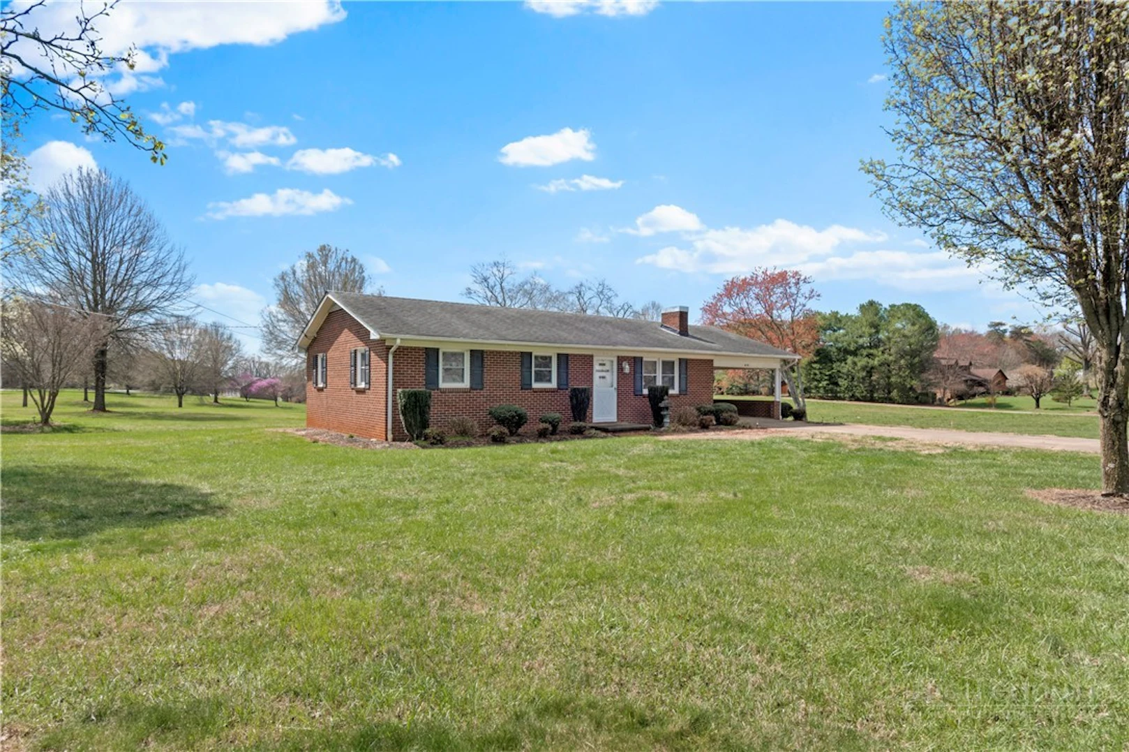 Image number 3 for the current listing