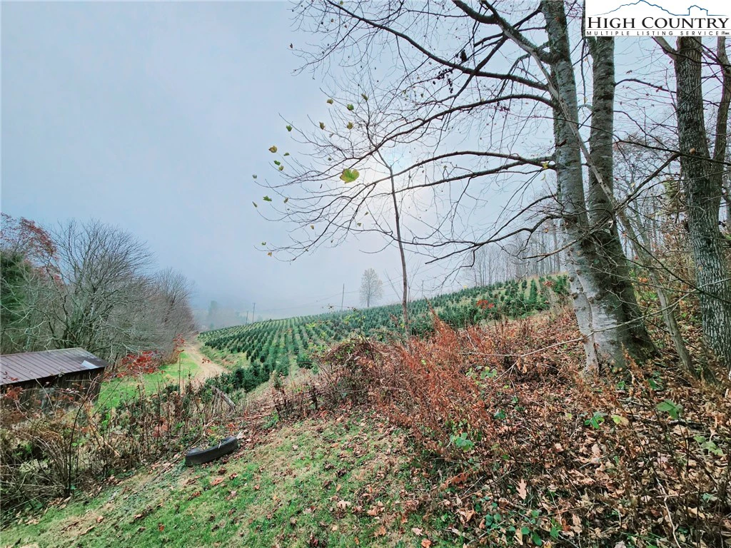 Image number 12 for the current listing