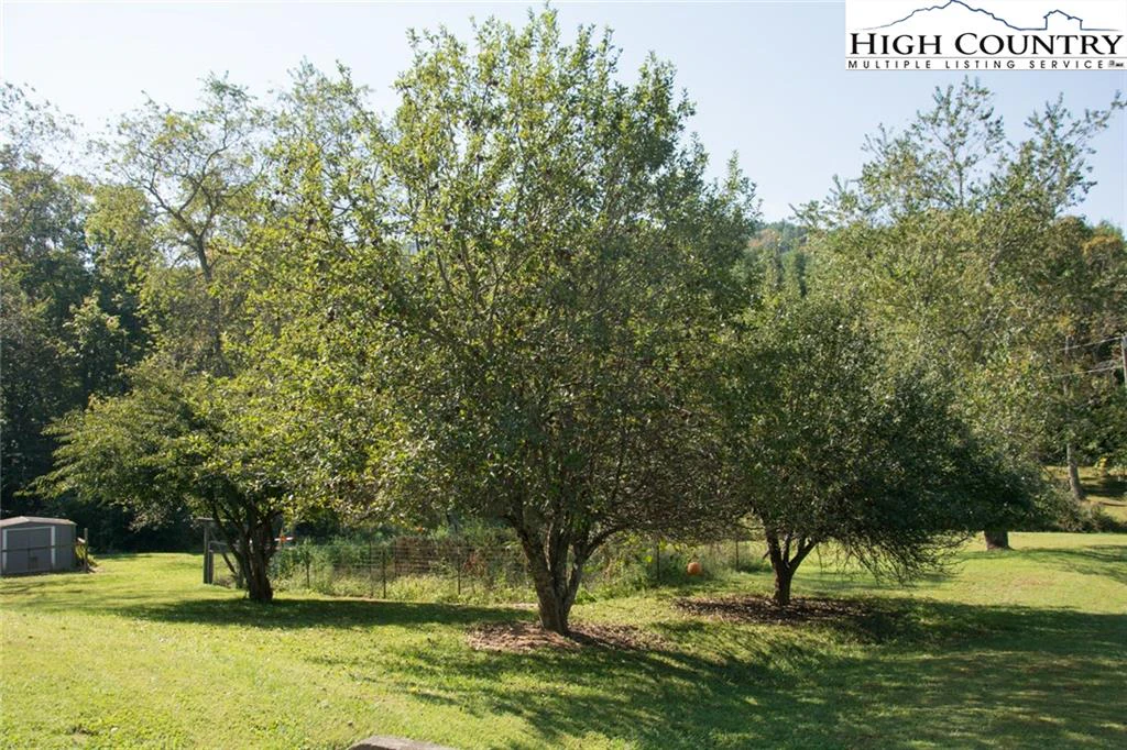 Image number 17 for the current listing