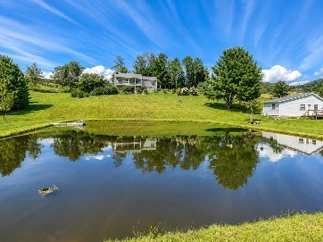 Image number 2 for the current listing