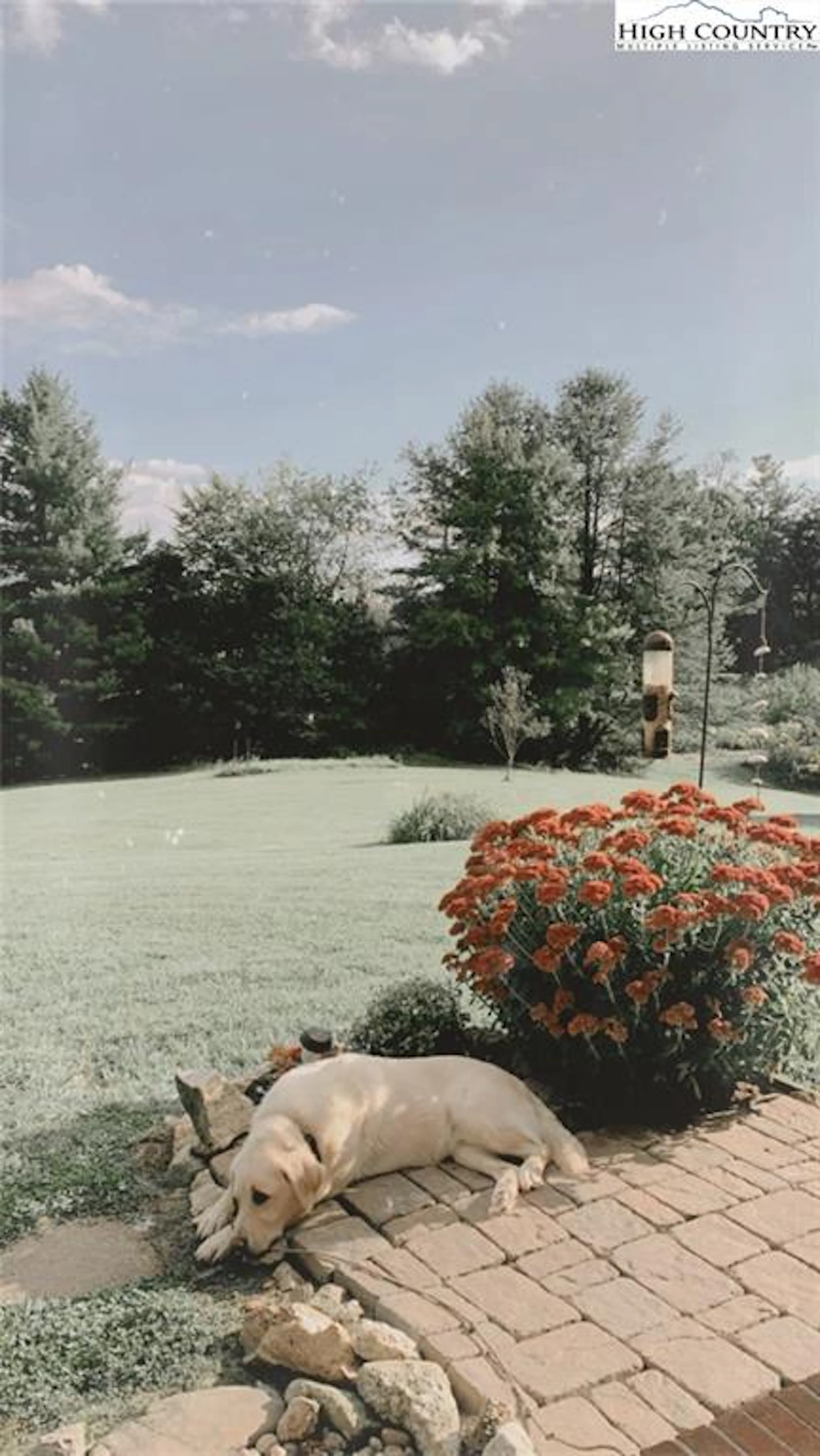 Image number 7 for the current listing