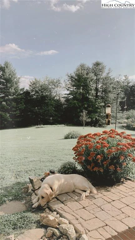 Image number 7 for the current listing