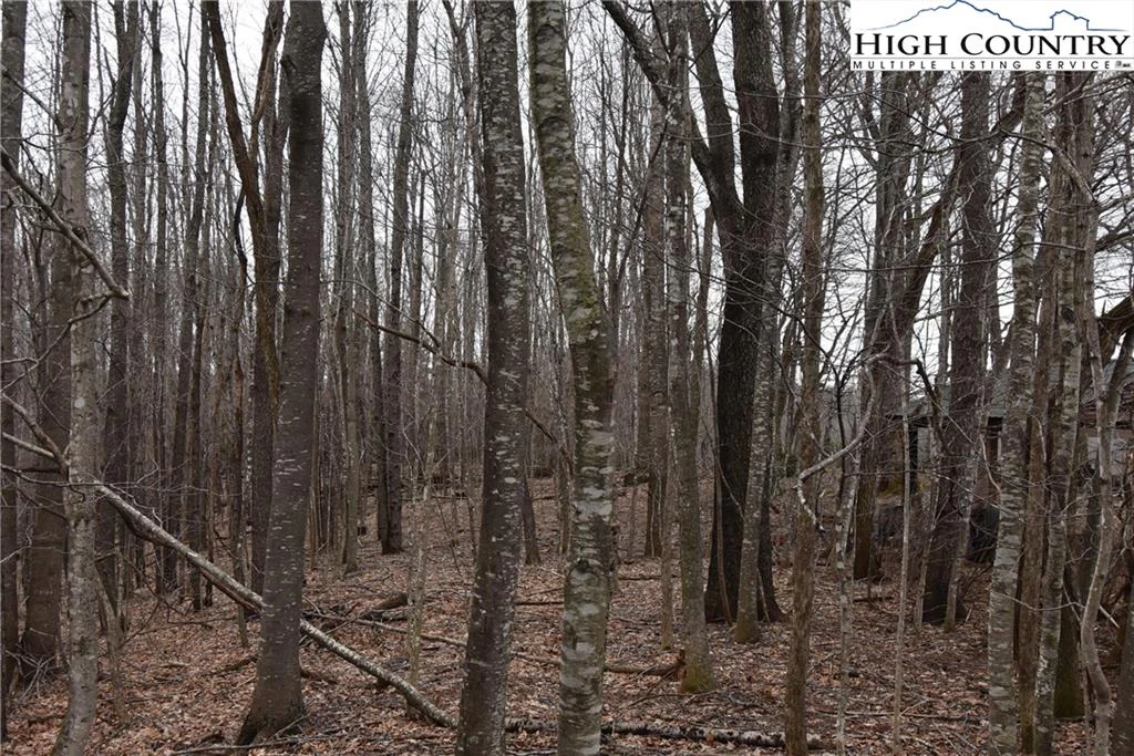 Image number 2 for the current listing