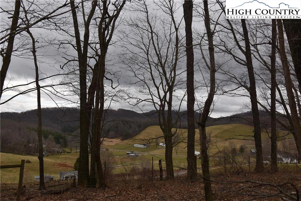 Image number 11 for the current listing