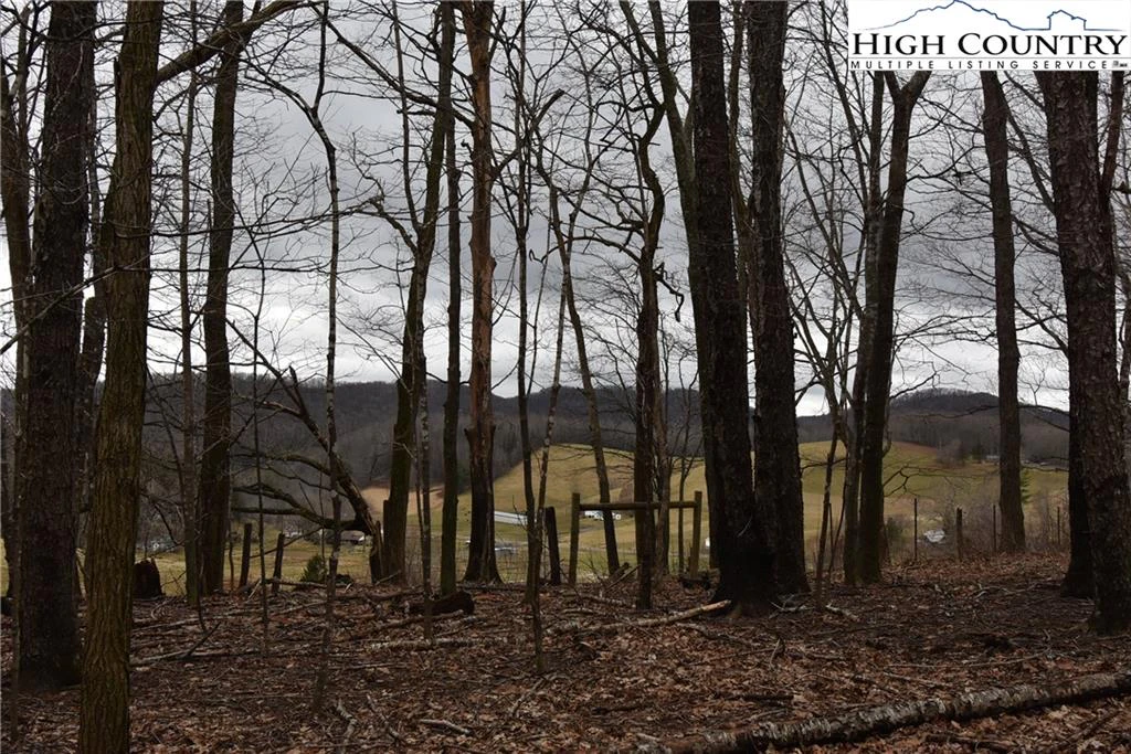 Image number 9 for the current listing