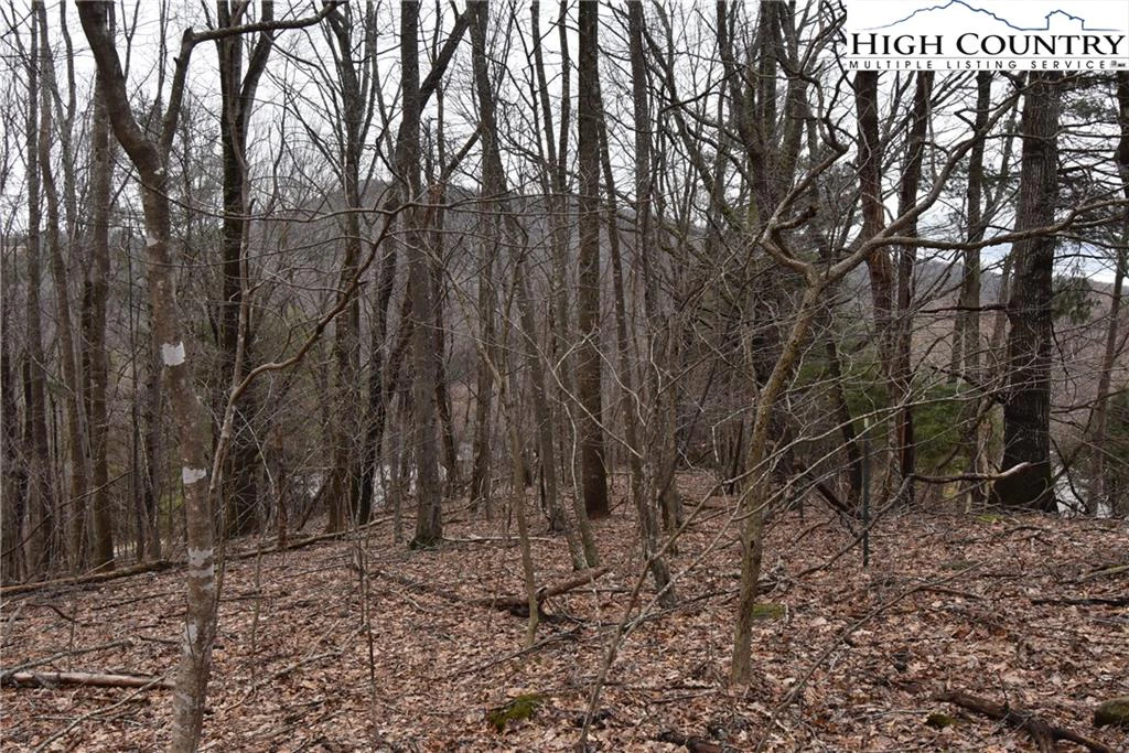 Image number 8 for the current listing