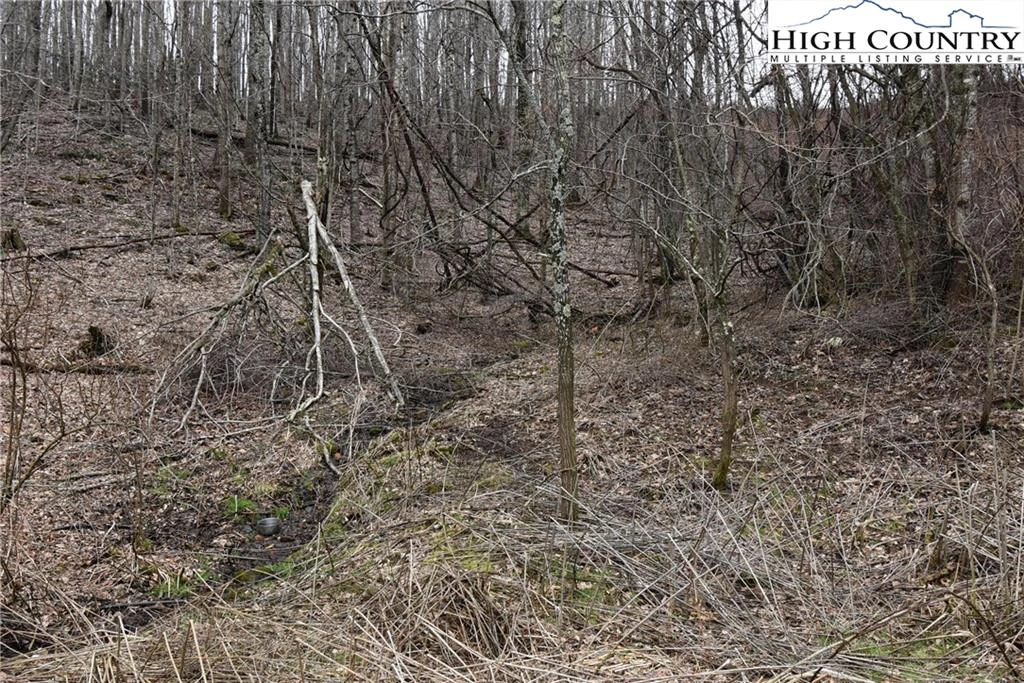 Image number 5 for the current listing