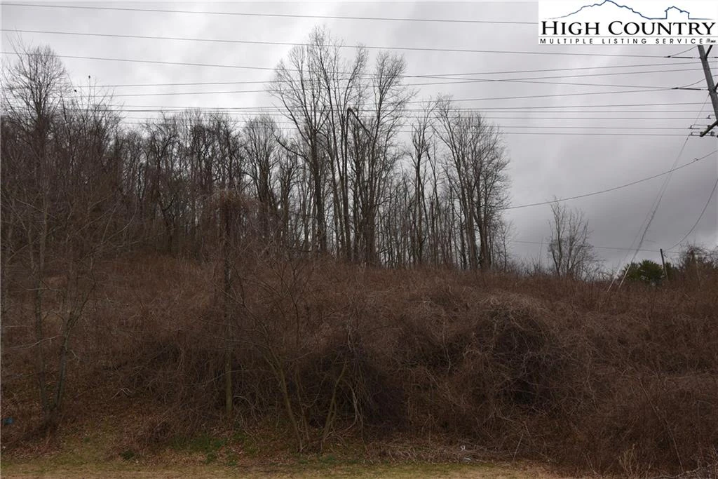 Image number 3 for the current listing