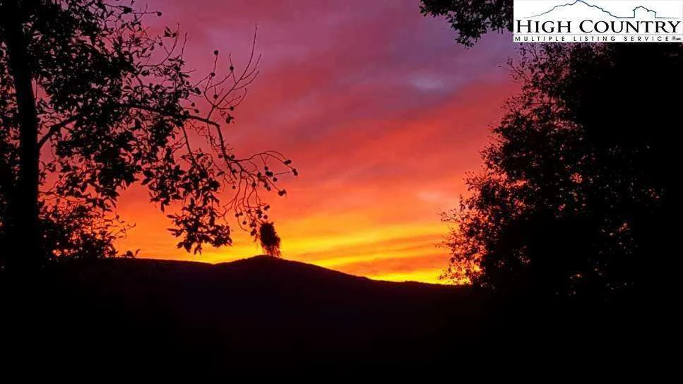 Image number 1 for the current listing