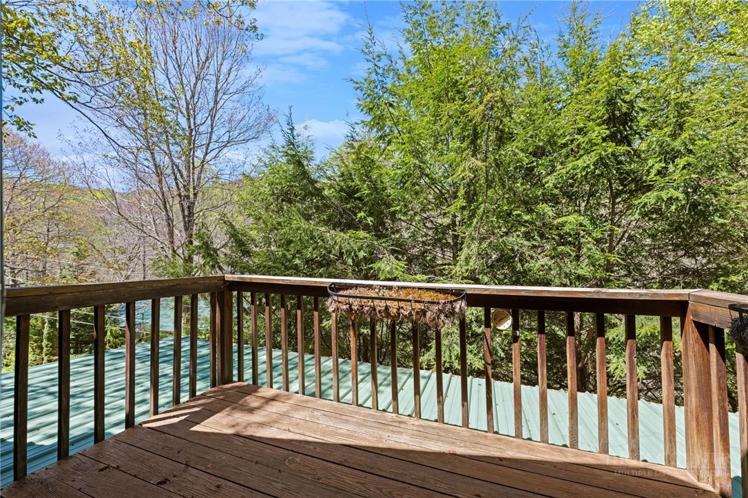 Image number 4 for the current listing
