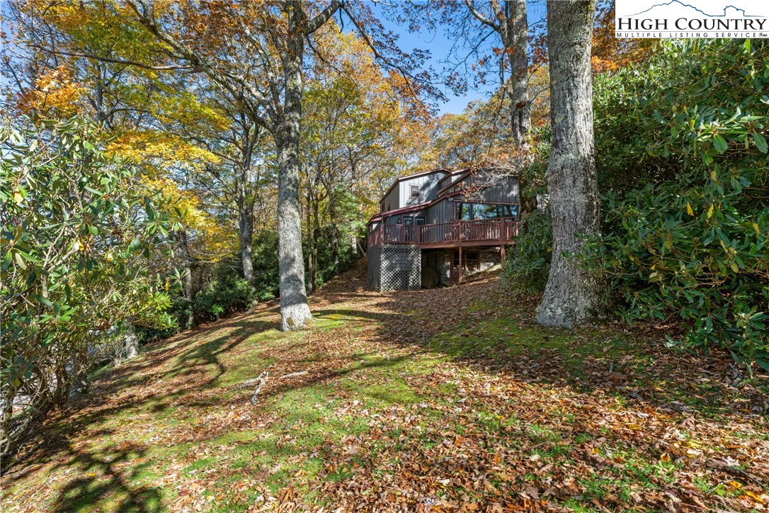 Image number 17 for the current listing