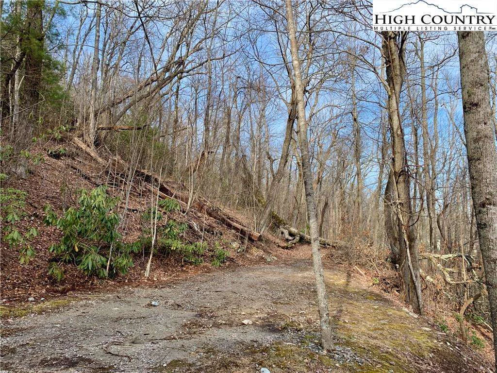 Image number 4 for the current listing