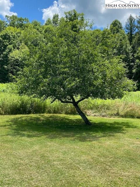 Image number 2 for the current listing