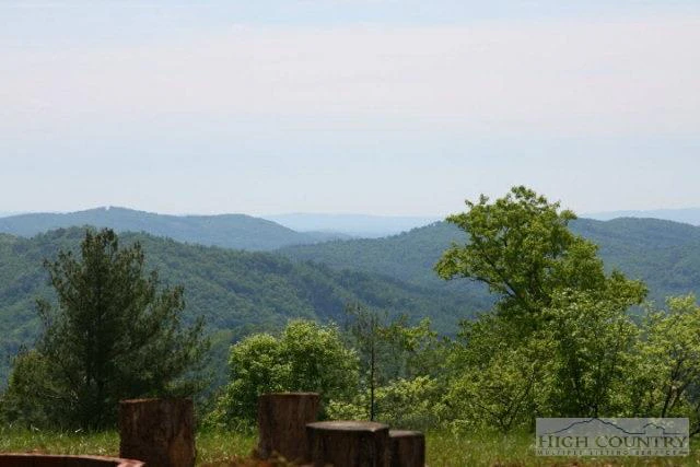 Image number 2 for the current listing