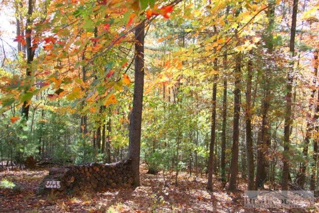 Image number 12 for the current listing