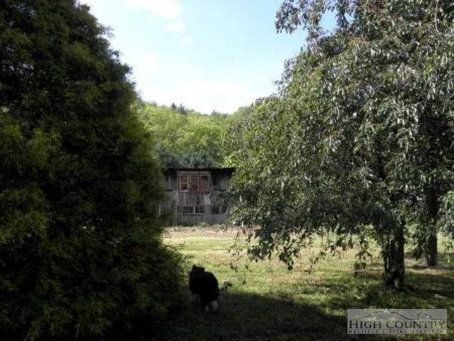 Image number 3 for the current listing