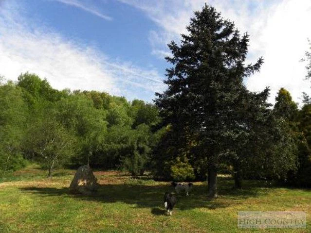 Image number 4 for the current listing
