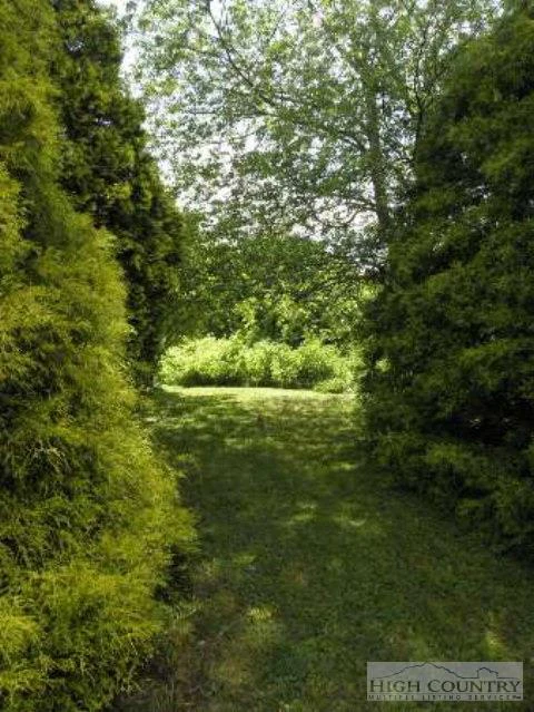Image number 5 for the current listing