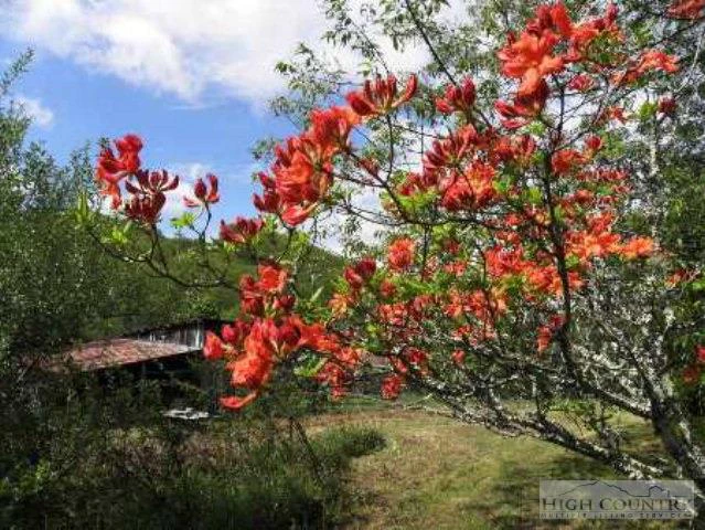 Image number 8 for the current listing