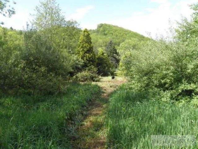 Image number 10 for the current listing