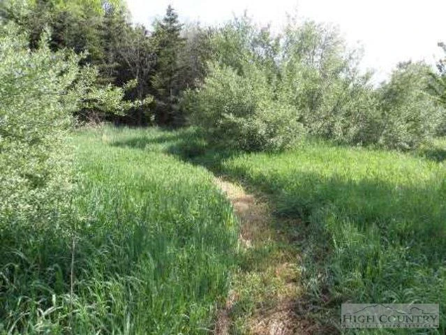 Image number 11 for the current listing