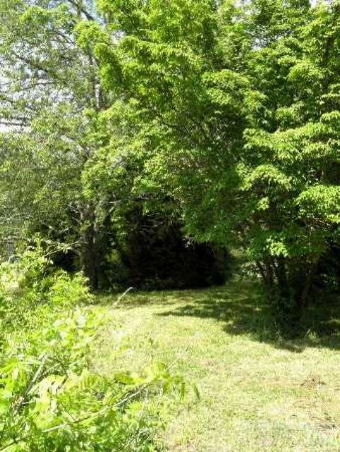 Image number 12 for the current listing