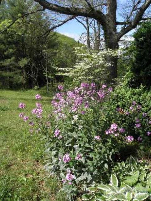 Image number 13 for the current listing