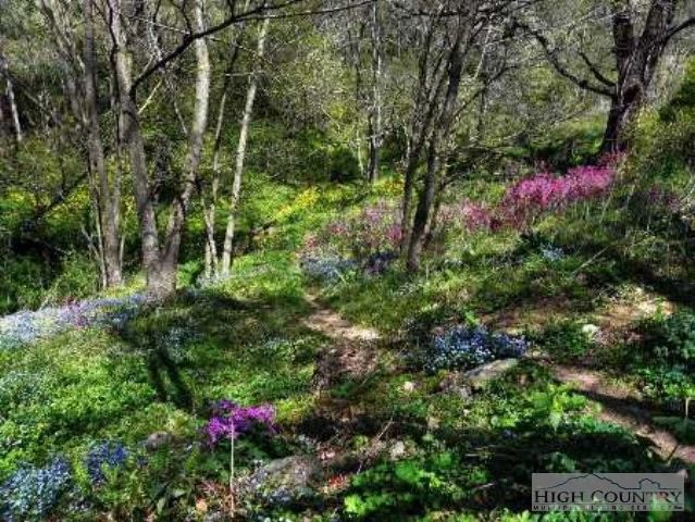 Image number 2 for the current listing