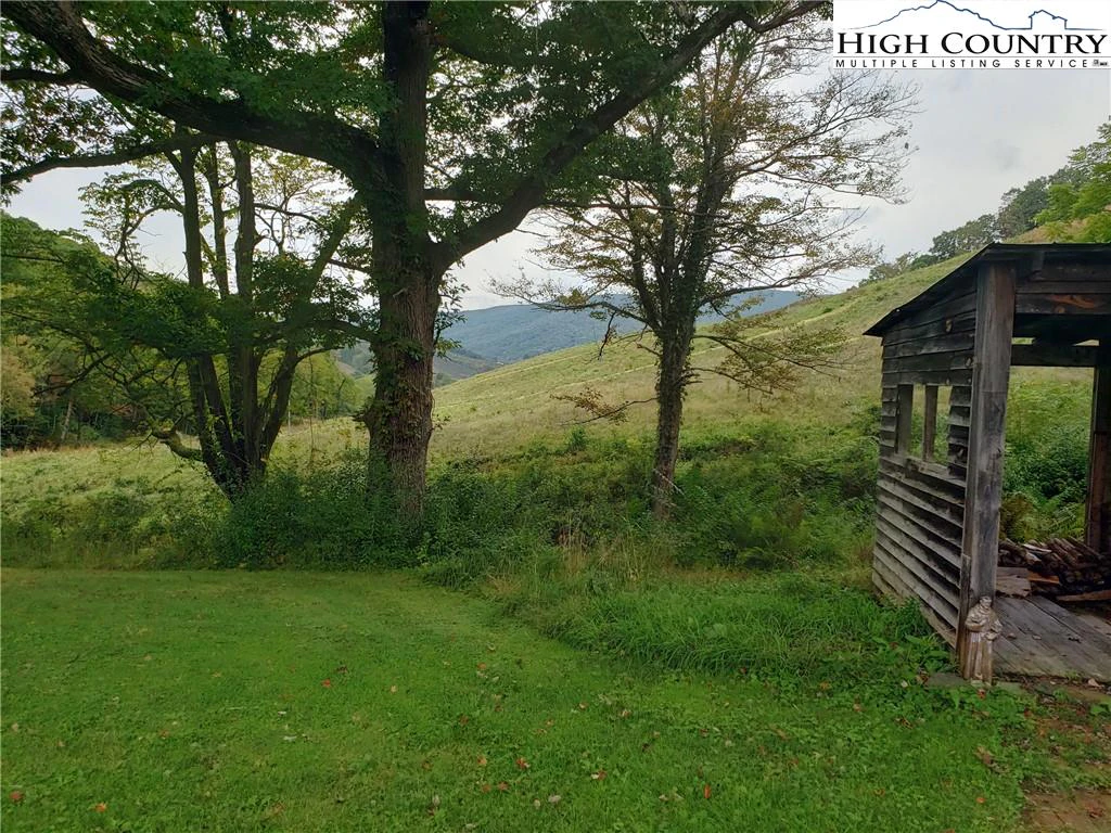 Image number 4 for the current listing