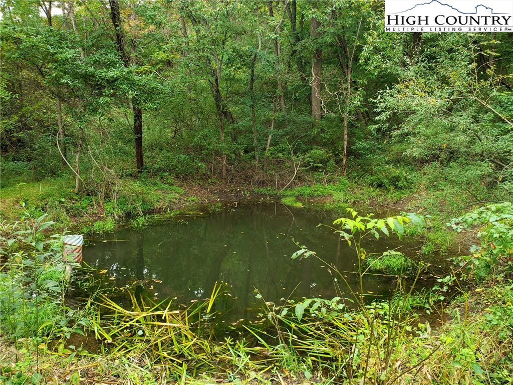 Image number 12 for the current listing