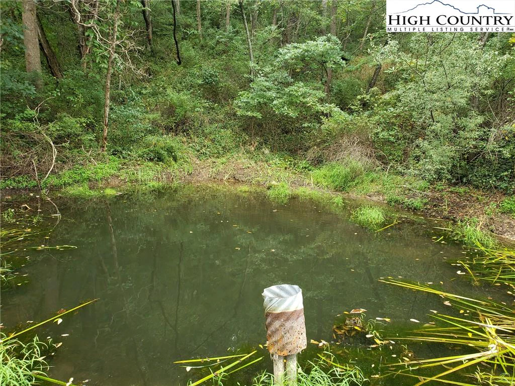 Image number 2 for the current listing