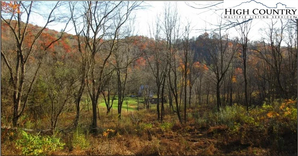 Image number 21 for the current listing