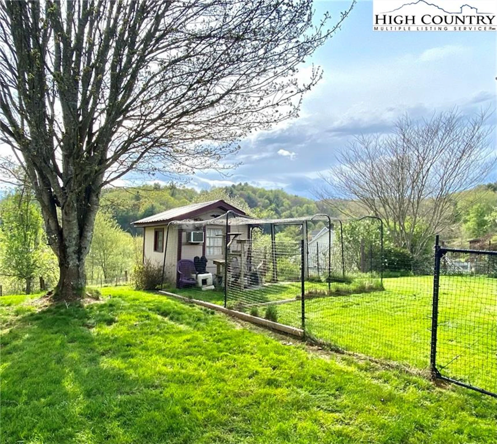 Image number 5 for the current listing