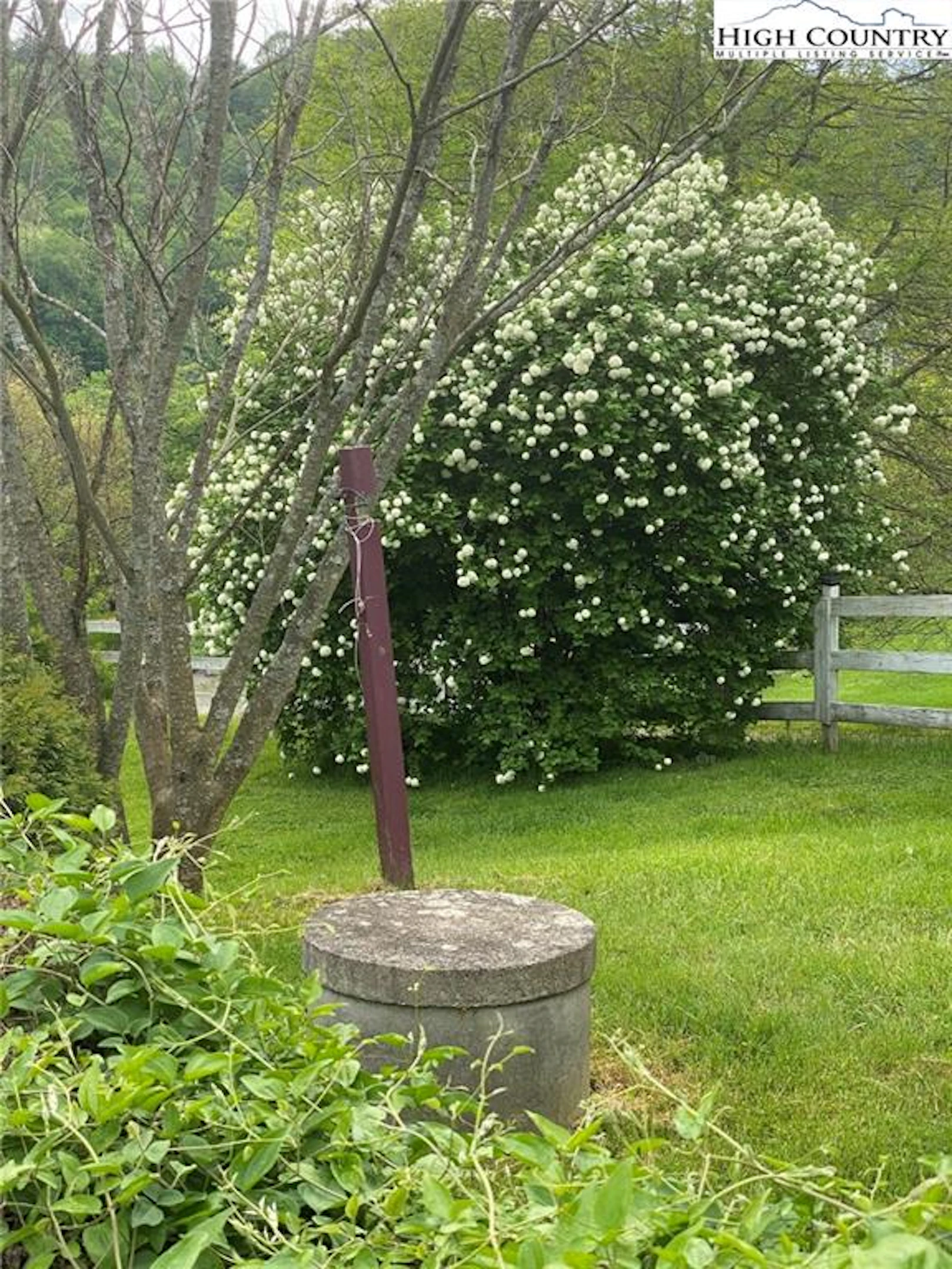Image number 3 for the current listing