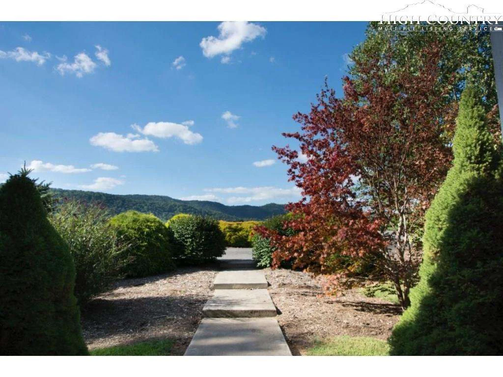 Image number 4 for the current listing