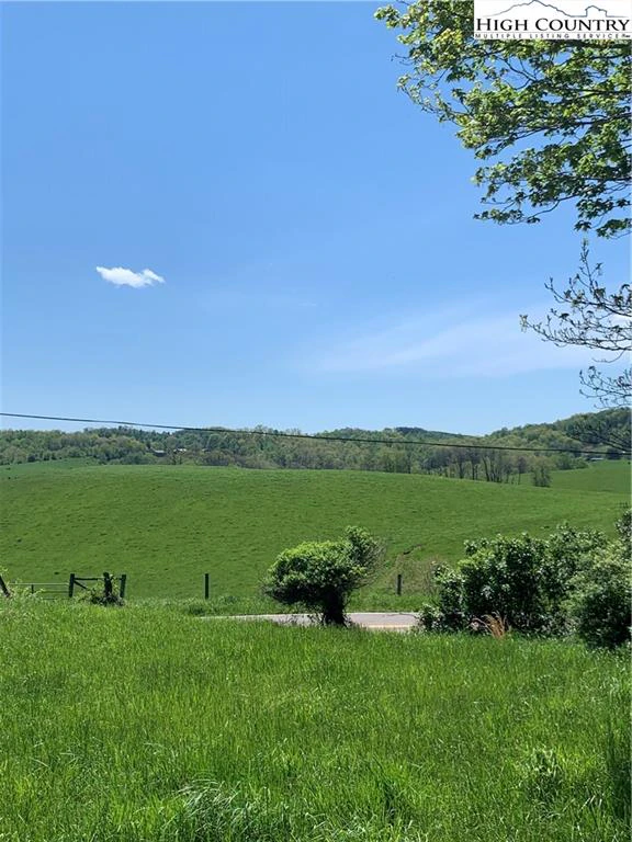 Image number 2 for the current listing