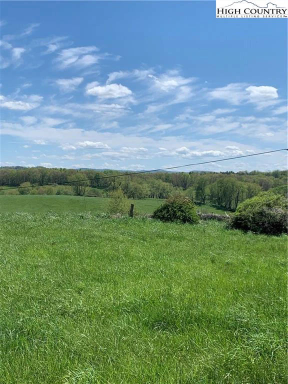 Image number 13 for the current listing