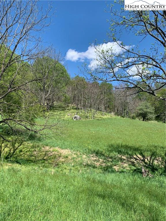 Image number 15 for the current listing