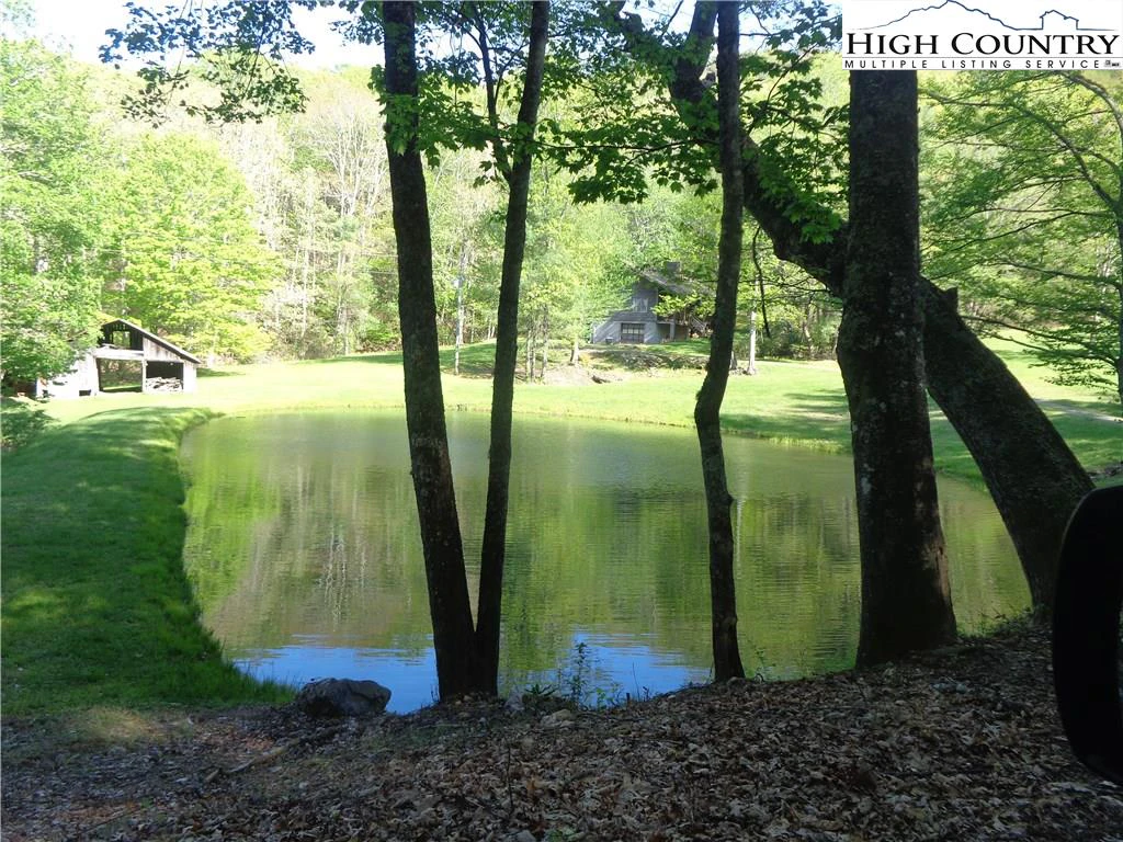 Image number 5 for the current listing