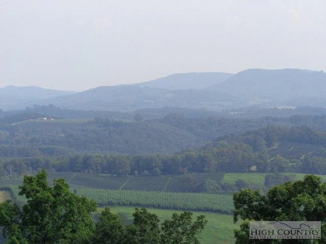 Image number 15 for the current listing