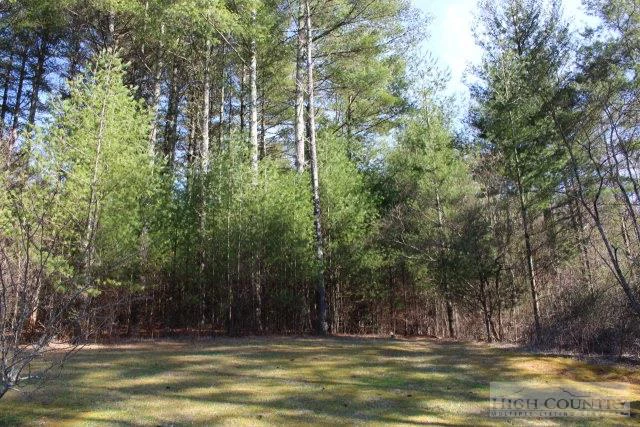 Image number 14 for the current listing