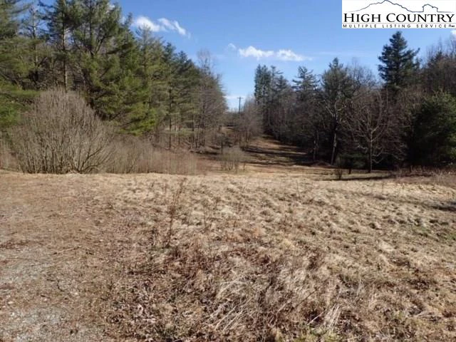 Image number 1 for the current listing