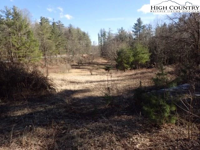 Image number 5 for the current listing