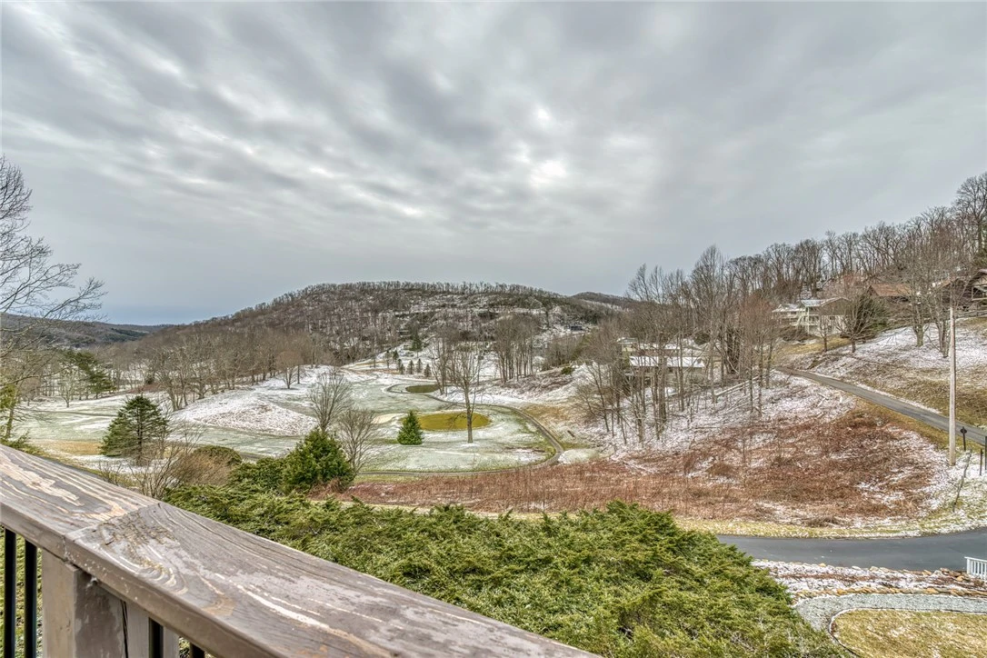 Image number 2 for the current listing