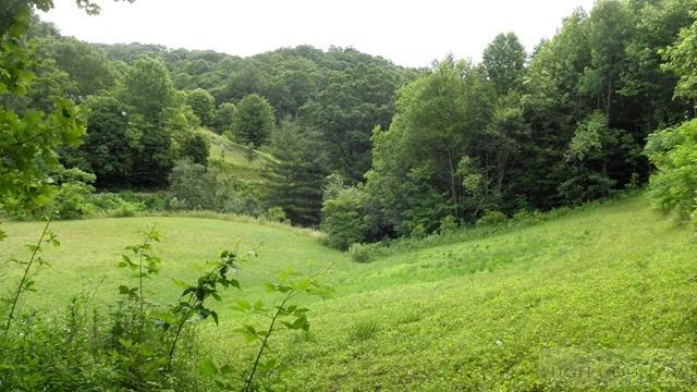 Image number 15 for the current listing