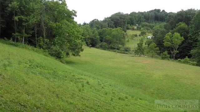Image number 14 for the current listing
