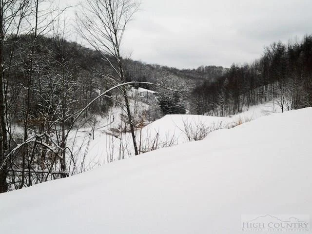 Image number 12 for the current listing